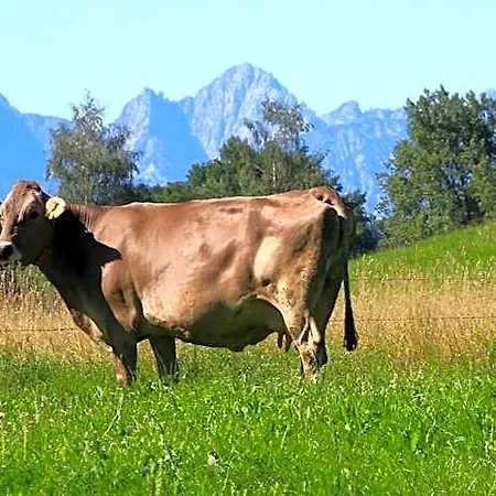 Lamprecht Locanda Peiting